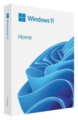 Phần mềm Win Home 11 64Bit Eng Intl 1pk DSP OEI DVD