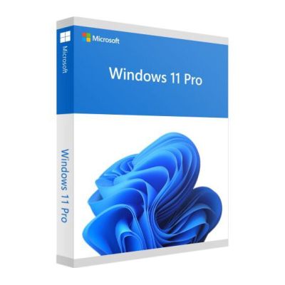 Windows 11 Pro