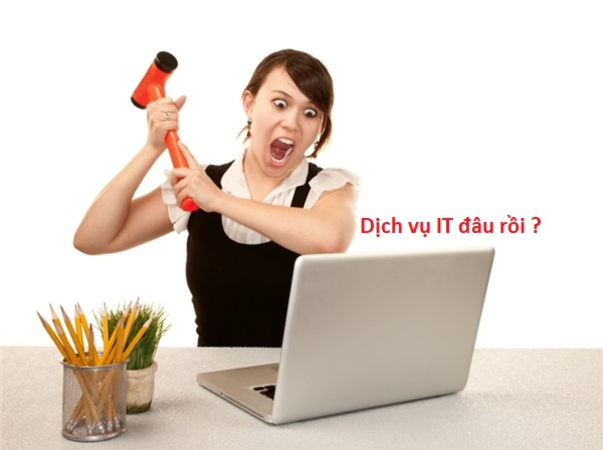 Dịch vụ IT tại Bình Dương cho Doanh nghiệp